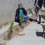کاشت نهال شانی در هرات همزمان با تجلیل از روز ملی نهال شانی 1 150x150 - کارزار کاشت نهال شانی در هرات همزمان با تجلیل از روز ملی نهال شانی