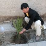 کاشت نهال شانی در هرات همزمان با تجلیل از روز ملی نهال شانی 3 150x150 - کارزار کاشت نهال شانی در هرات همزمان با تجلیل از روز ملی نهال شانی