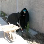 کاشت نهال شانی در هرات همزمان با تجلیل از روز ملی نهال شانی 4 150x150 - کارزار کاشت نهال شانی در هرات همزمان با تجلیل از روز ملی نهال شانی