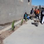 کاشت نهال شانی در هرات همزمان با تجلیل از روز ملی نهال شانی 5 150x150 - کارزار کاشت نهال شانی در هرات همزمان با تجلیل از روز ملی نهال شانی